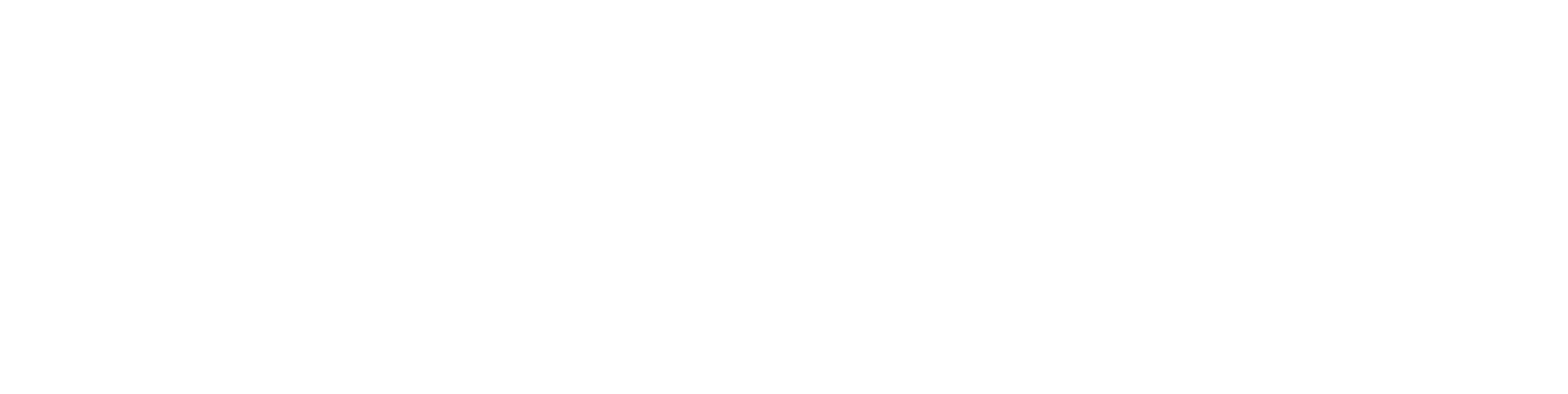 Logo - Stryten Energy_White_1Line_lg